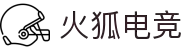 火狐电竞 - 最快最全的电子竞技赛事战报平台